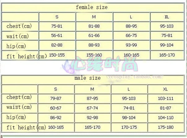 Cosplay Costume Complet Premium - Robin